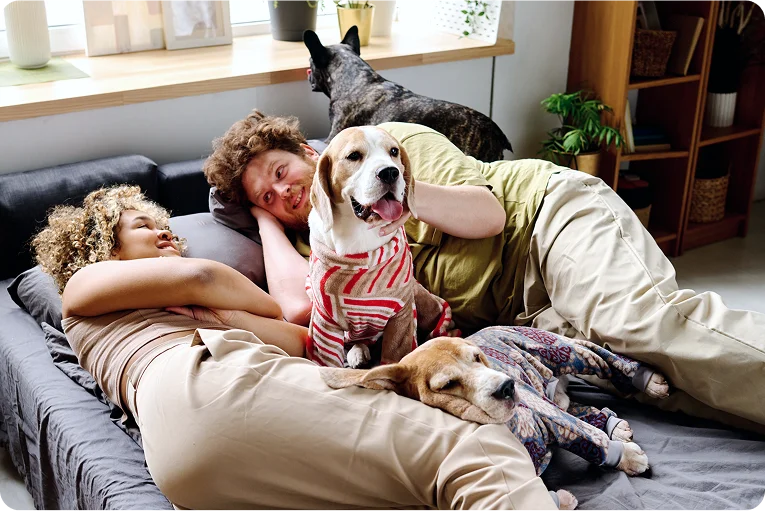 @lang('Casal descontraído com dois cães na cama, a desfrutar da tranquilidade de uma casa comprada com crédito habitação.')
